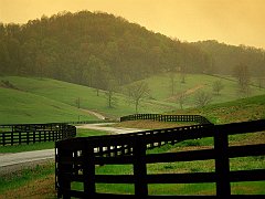 Peaceful Countryside